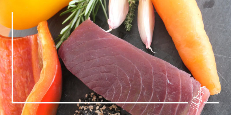 thunfisch einkauf