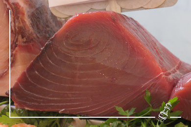 thunfisch info