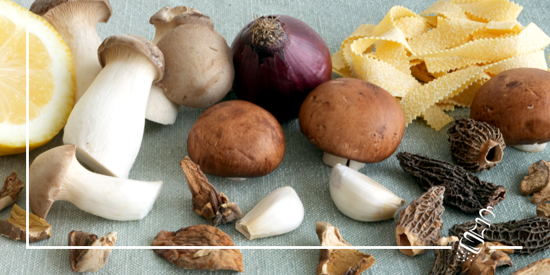 pilzragout mix