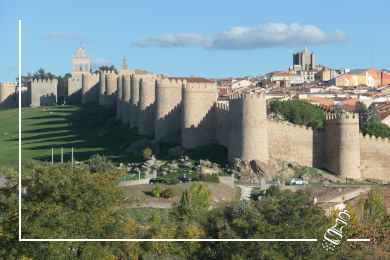 paella castilla leon