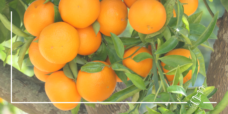 orange