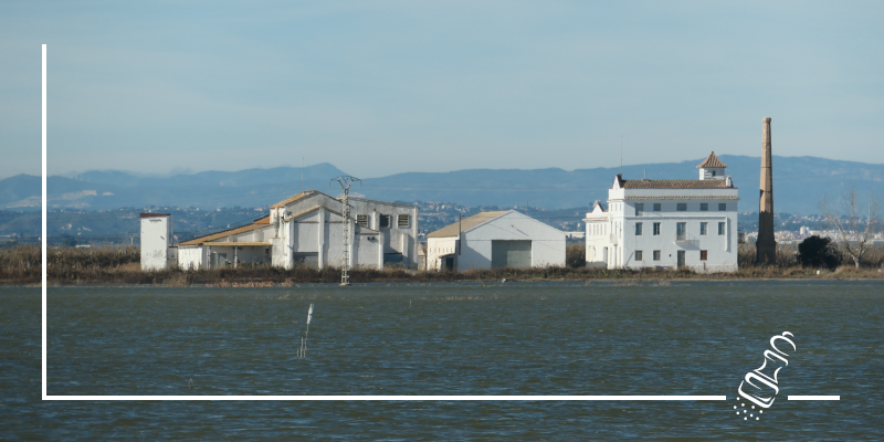 reis das gold aus dem albufera nationalpark