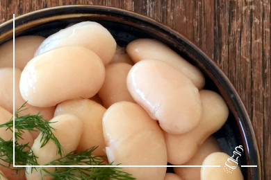 bohnenmus judion tapas