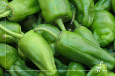 pimientos de padron