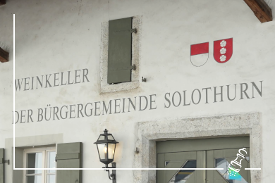 solodhurner wysueppli